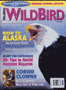Wild Bird